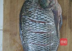 红烧罗非鱼的做法图解1