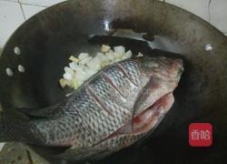 红烧罗非鱼的做法图解3