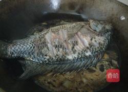 红烧罗非鱼的做法图解5