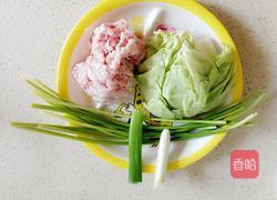卷心菜猪肉馅饺子的做法图解3