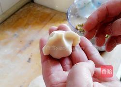 卷心菜猪肉馅饺子的做法图解25