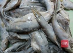 油炸小鱼的做法图解2