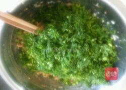猪肉茴香馅饺子的做法图解6