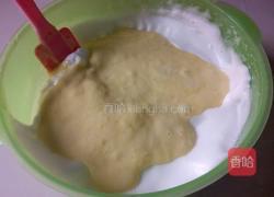 蒸糕的做法图解15