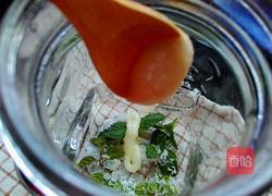 柠檬气泡饮的做法图解4