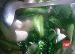 青菜豆腐汤的做法图解3
