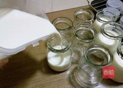自制醇香酸奶的做法图解7