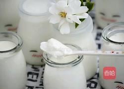 自制醇香酸奶的做法图解11