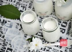 自制醇香酸奶的做法图解13