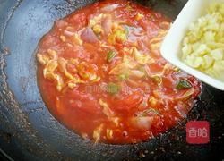 西红柿炒鸡蛋的做法图解13