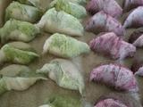 翡翠白菜饺子皮的制作的做法[图]