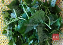 清炒地瓜叶的做法图解1