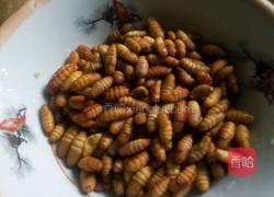 ﻿﻿﻿﻿﻿﻿﻿﻿﻿﻿﻿﻿﻿﻿﻿﻿﻿﻿﻿﻿﻿﻿﻿油爆蚕蛹的做法图解1