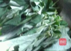 豆角叶汤的做法图解1