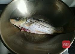 红烧鲤鱼的做法图解4