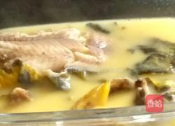 白炖昂刺鱼的做法图解8