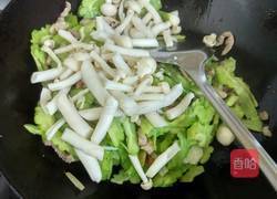 苦瓜炒肉丝的做法图解7