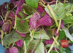 炒小米菜的做法图解1