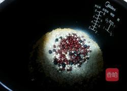 红豆薏仁粥的做法图解2