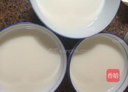 炖奶的做法图解5