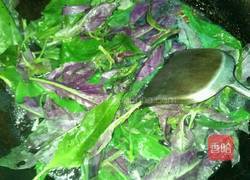 紫背天葵的做法图解2