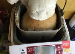 日常面包（面包机版）的做法图解3