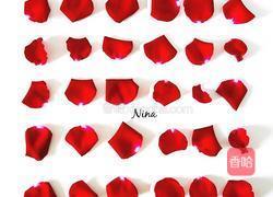 糖渍玫瑰的做法图解2