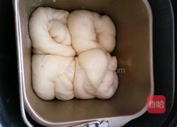 炼奶面包(中种)面包机版的做法图解7