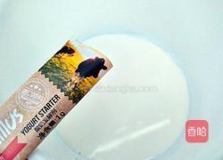 自制酸奶的做法图解4