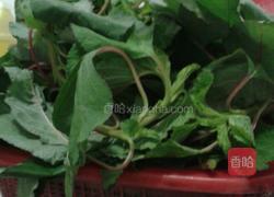 凉拌苋菜的做法图解1