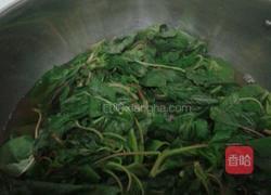 苋菜大肉饺子的做法图解4