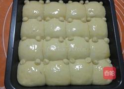 小熊挤挤面包的做法图解6