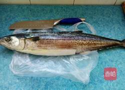 鲅鱼饺子的做法图解1