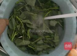 清炒红薯尖的做法图解2