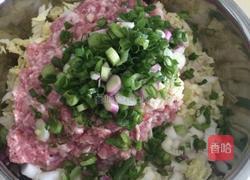 大白菜猪肉包的做法图解3