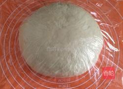 大白菜猪肉包的做法图解4