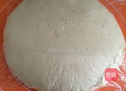 大白菜猪肉包的做法图解5