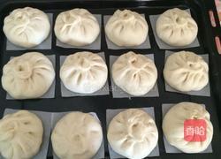 大白菜猪肉包的做法图解7