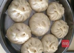 大白菜猪肉包的做法图解8