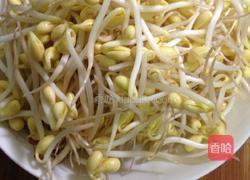 炒黄豆芽的做法图解3