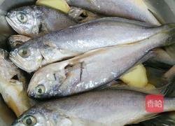 香煎小黄鱼的做法图解4