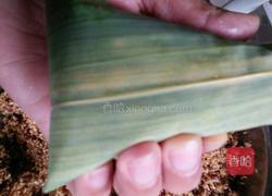 端午粽子的做法图解10