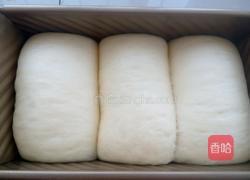 奶香吐司的做法图解8