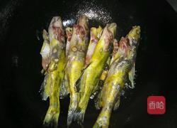 黄刺鱼焖豆腐的做法图解5