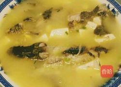 昂刺鱼豆腐汤的做法图解8