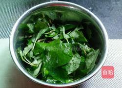 凉拌鱼腥草的做法图解3