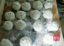 地皮菜包子的做法图解18