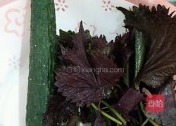 紫苏煎黄瓜的做法图解1