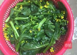 水煮油菜心的做法图解1