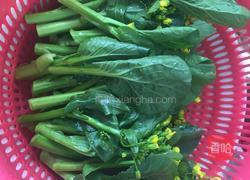 水煮油菜心的做法图解2